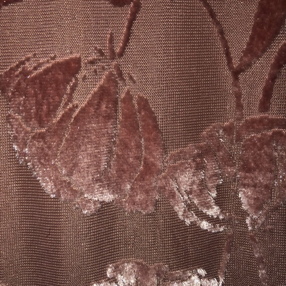 Velvet Sheer Bodysuit - Picture 11 of 12